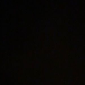 Meet your Posher, Barney